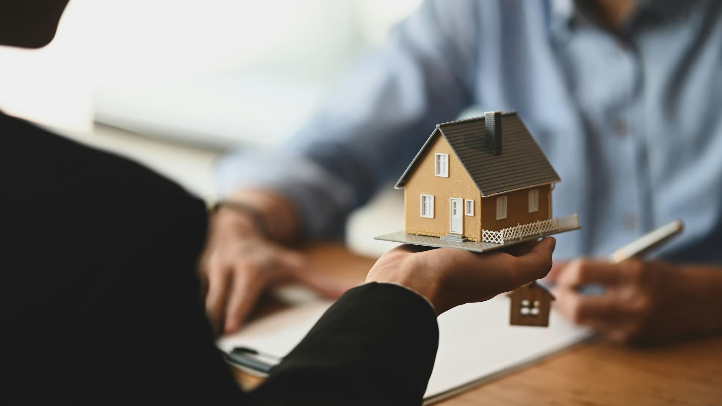 search-section-background